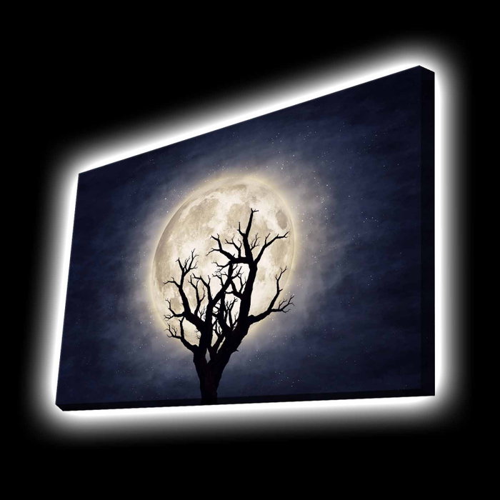 Wallity Lienzo Decorativo Iluminado con Led Multicolor 45 x 70 cm Wallity Lienzo Decorativo Iluminado con Led Multicolor 45 x 70 cm